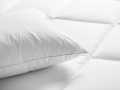 Sonno-PLUS_3a-1024x768.jpg
