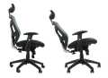 spectrum_hb_net (16) (Copy).jpg
